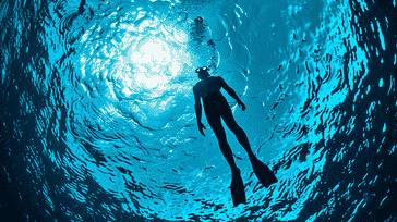 Dive Deep: A Guide to Thrilling Underwater Adventures