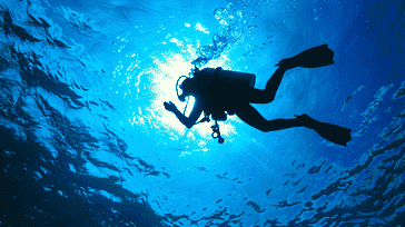 Refining Your Skills: Techniques for Mastering Different Diving Styles